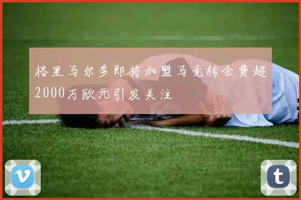格里马尔多即将加盟马竞转会费超2000万欧元引发关注