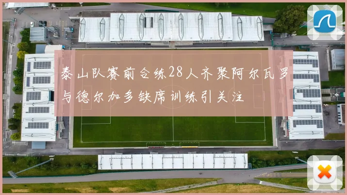 泰山队赛前合练28人齐聚阿尔瓦罗与德尔加多缺席训练引关注